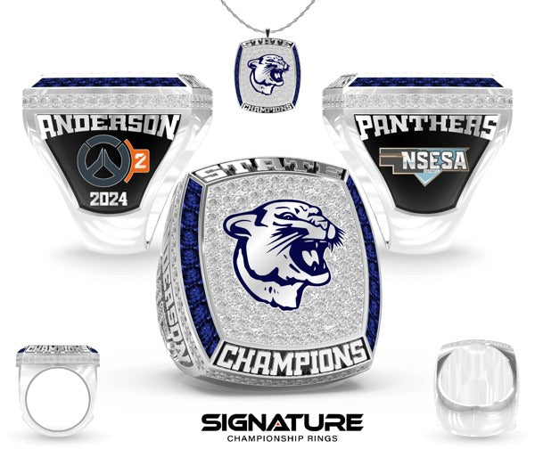 Bancroft-Rosalie High School  eSports 2024 Championship Ring