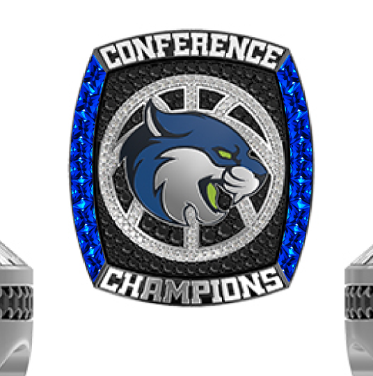 Bryant &amp; Stratton College-Virginia Basketball -Women's 2024 Pendant