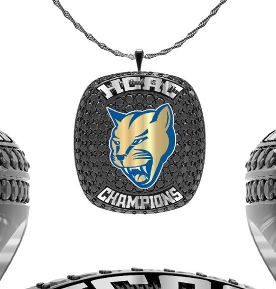Mount_St_Joseph_University__Football__2024_V26_V2_1_20241220094330_full_pendant_20250124024056.jpg