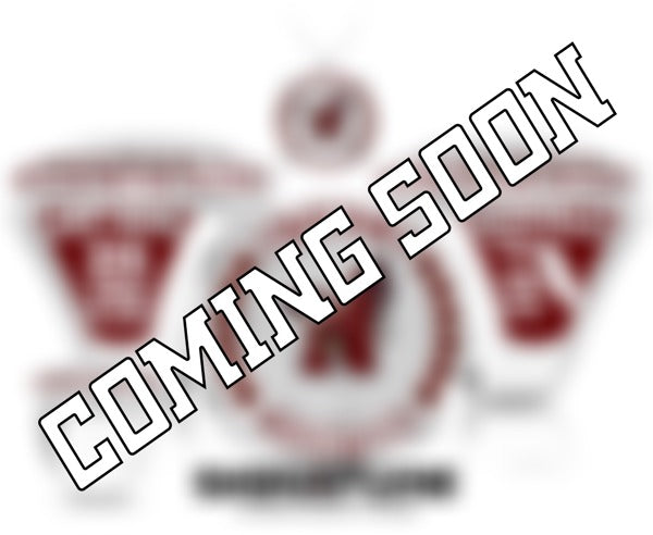Niceville High School Cheer 2025 Championship Ring