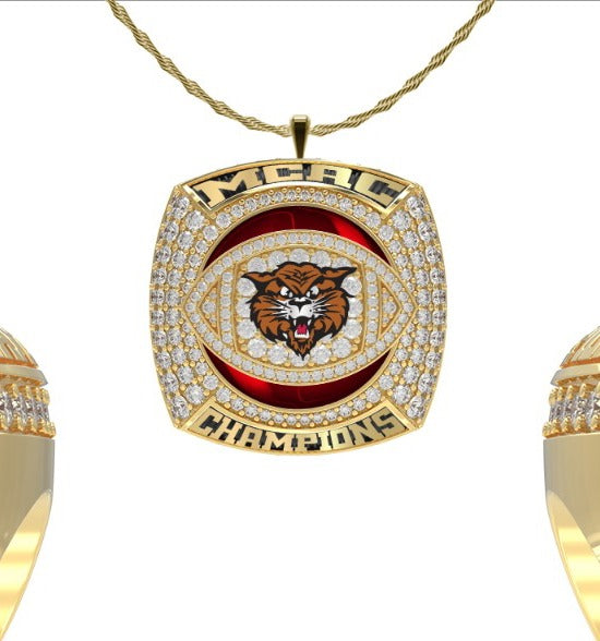 NorthDakotaStateCollegeofScienceFootballR35G2025V23_20251209091016_full_pendant_20251209091144.jpg