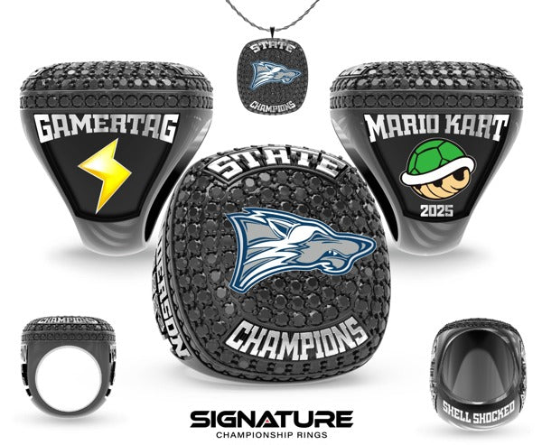 North_Paulding_High_School_Esports_V26A_2025_V3_20250611110037.jpg