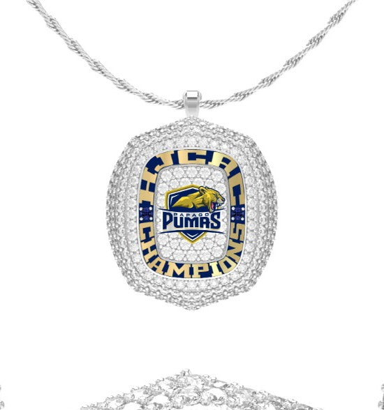 Papago_Pumas_Football__V1802S_2025_V24_20251216085123_full_pendant_20251216085211.jpg