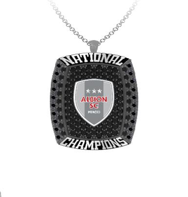 Albion SC Pendant