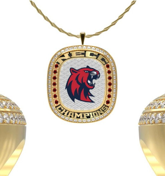 Rogers_State_University_Esports_V0802G_2025_V5_20250609085937_full_pendant_20250609090020.jpg