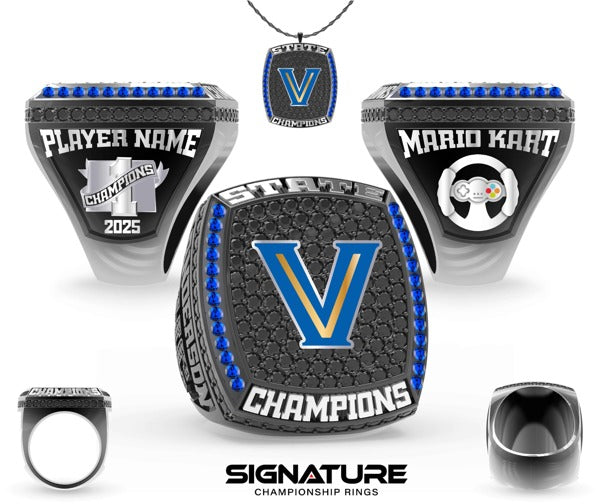 Valley_View_HS_Esports_V01A_2025_V6_1_20250605094108.jpg