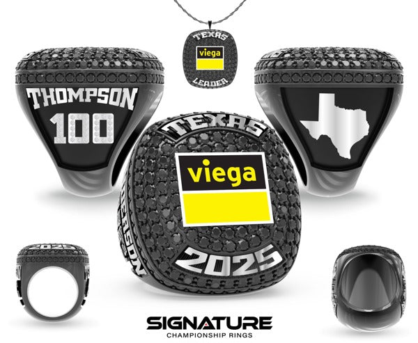 ViegaOTHERV26A2025V4_1_20251021031810.jpg
