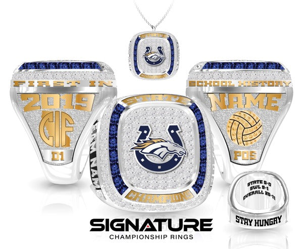 Vista Murrieta High School Women's Volleyball 2019 State Championship Ring