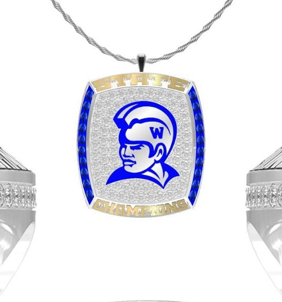 Waimea_HS_FOOTBALL_V01S_2024_V11_20250303083025_full_pendant_20250303083049_20250303083100.jpg