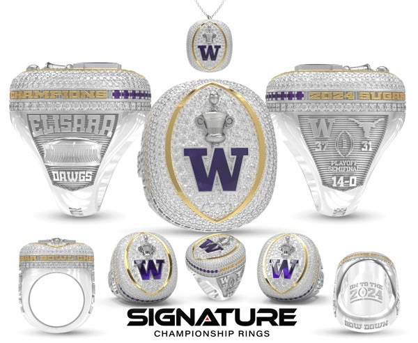University of Washington Football 2024
