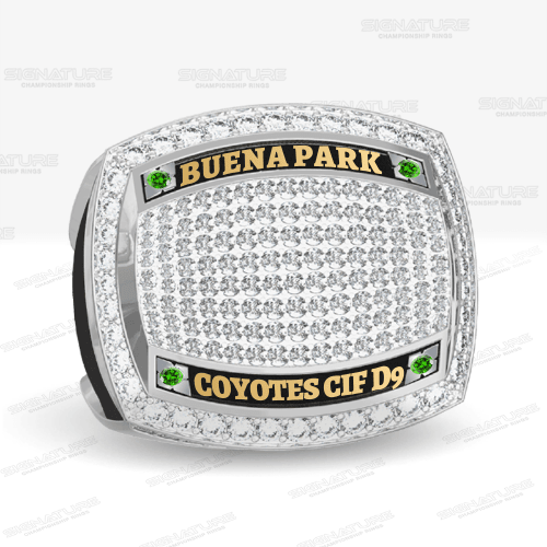 Custom Sports Ring - ZfIU9ck5Cca5xVWiWQubK_Fv