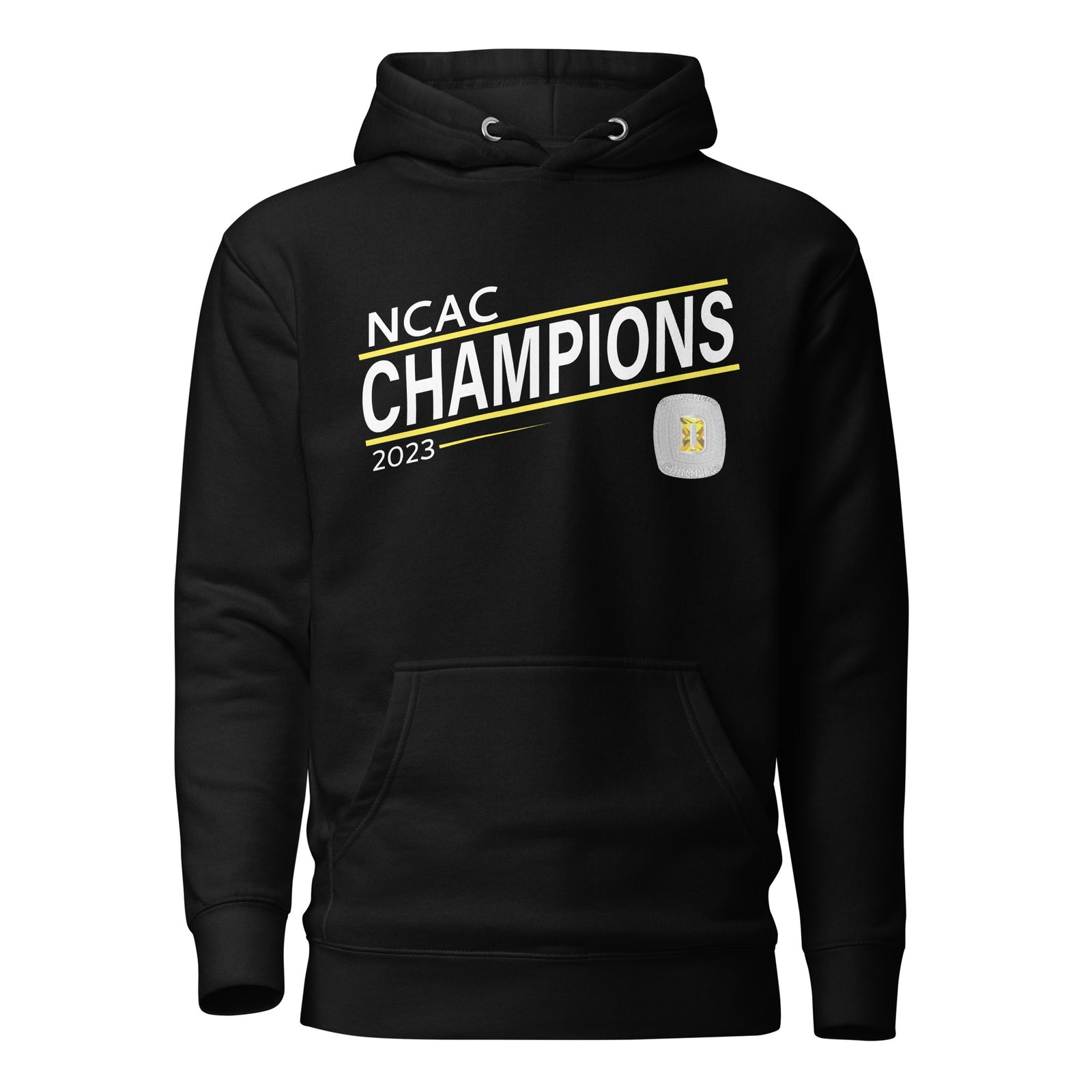 DePauw University Football 2023 Unisex Hoodie