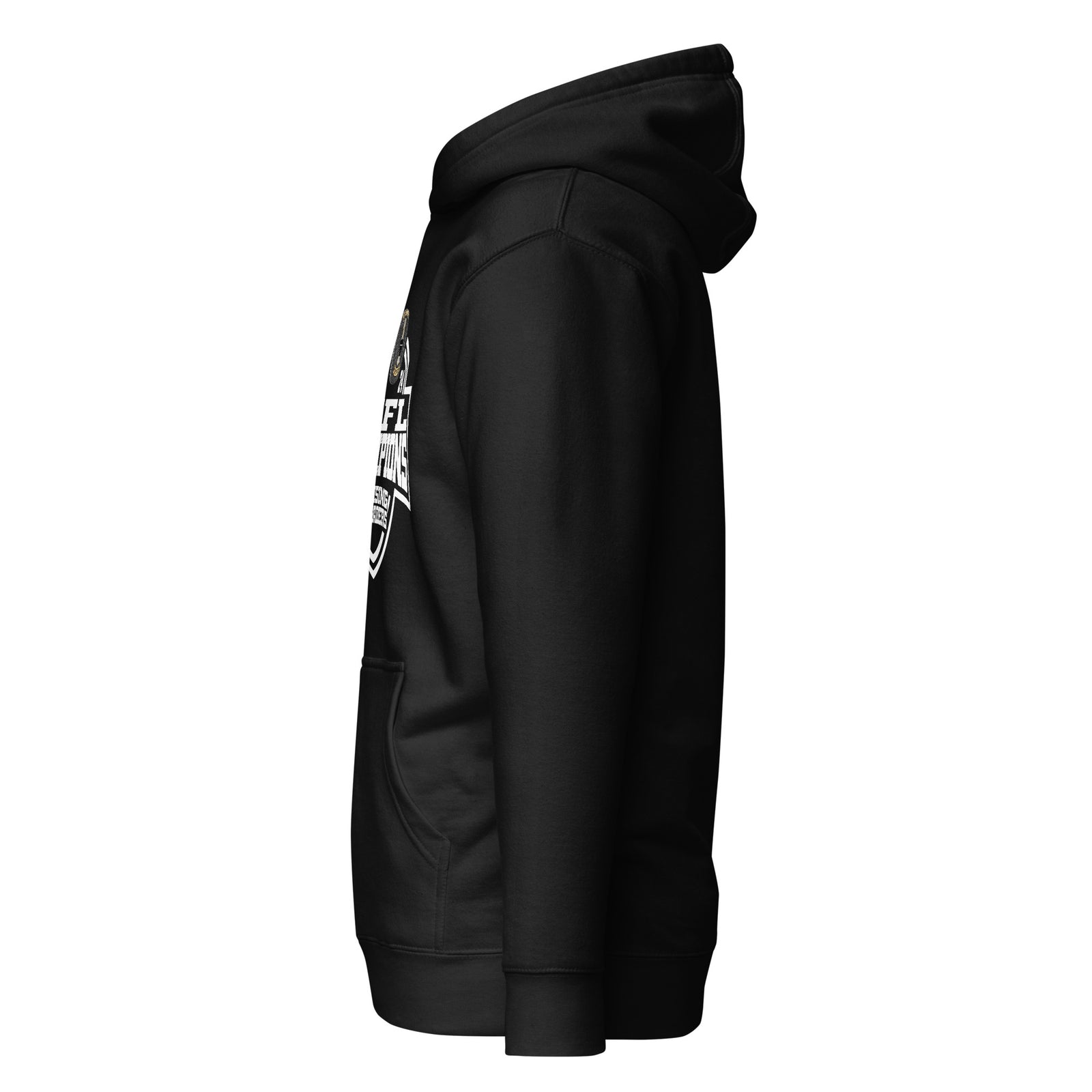 Lansing Crusaders Football 2024 Unisex Hoodie