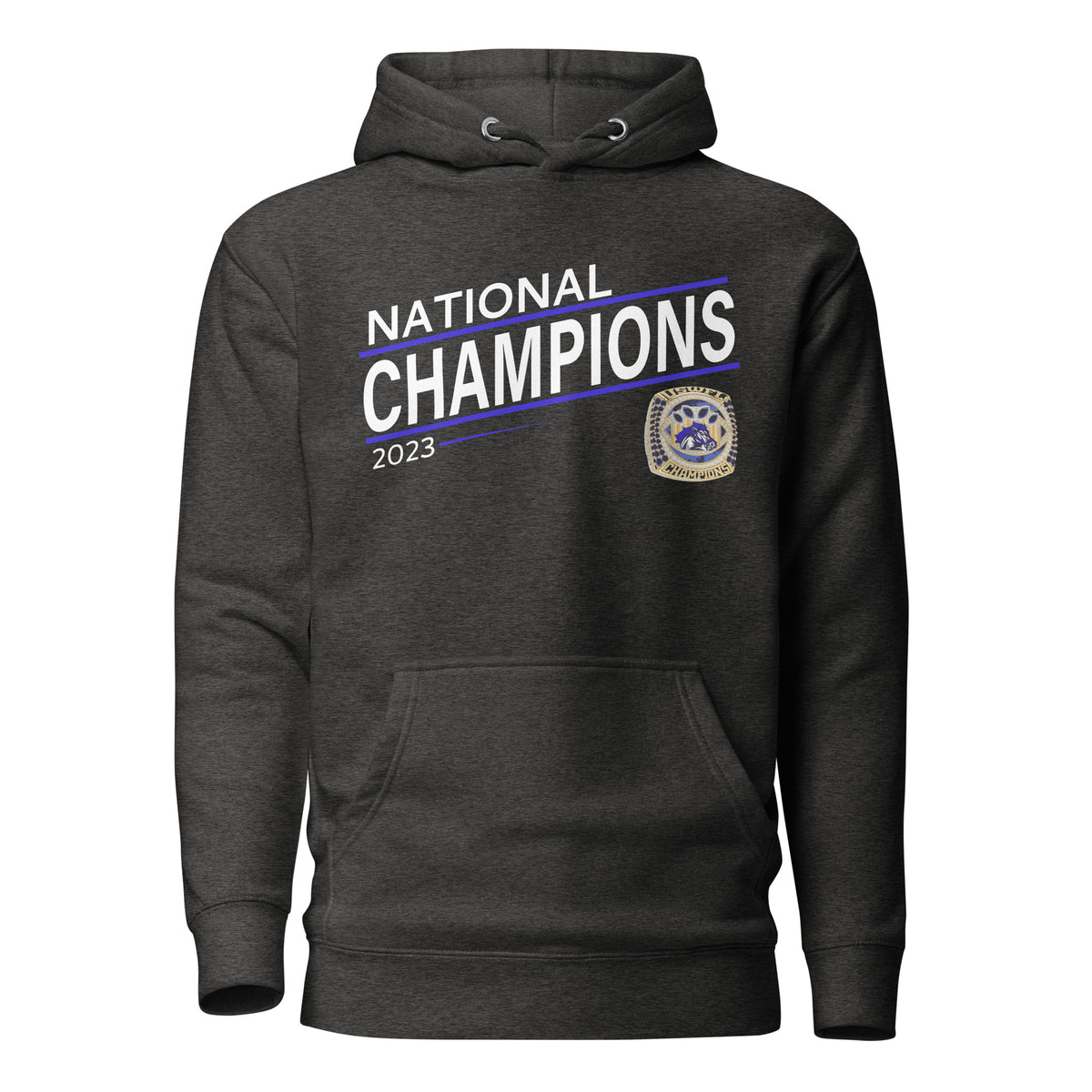 Tennessee Thunder Football 2023 Unisex Hoodie