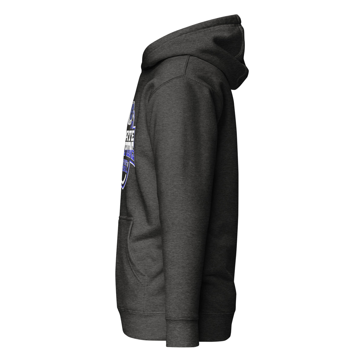 Hamshire-Fannett High School Football 2024 Unisex Hoodie