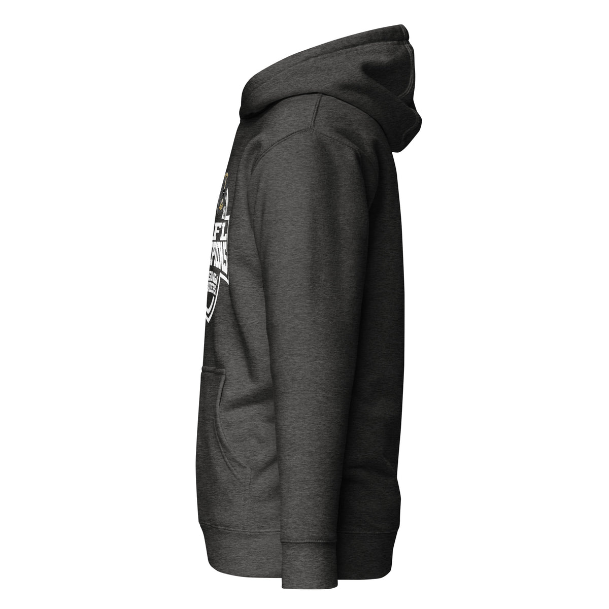 Lansing Crusaders Football 2024 Unisex Hoodie