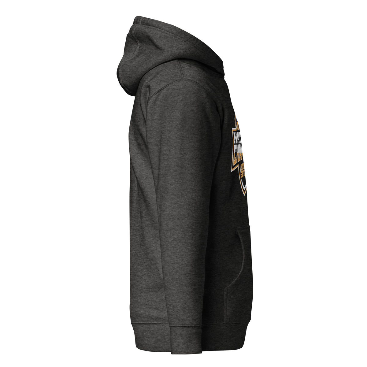 Ottawa University of Arizona Dance 2024 Unisex Hoodie