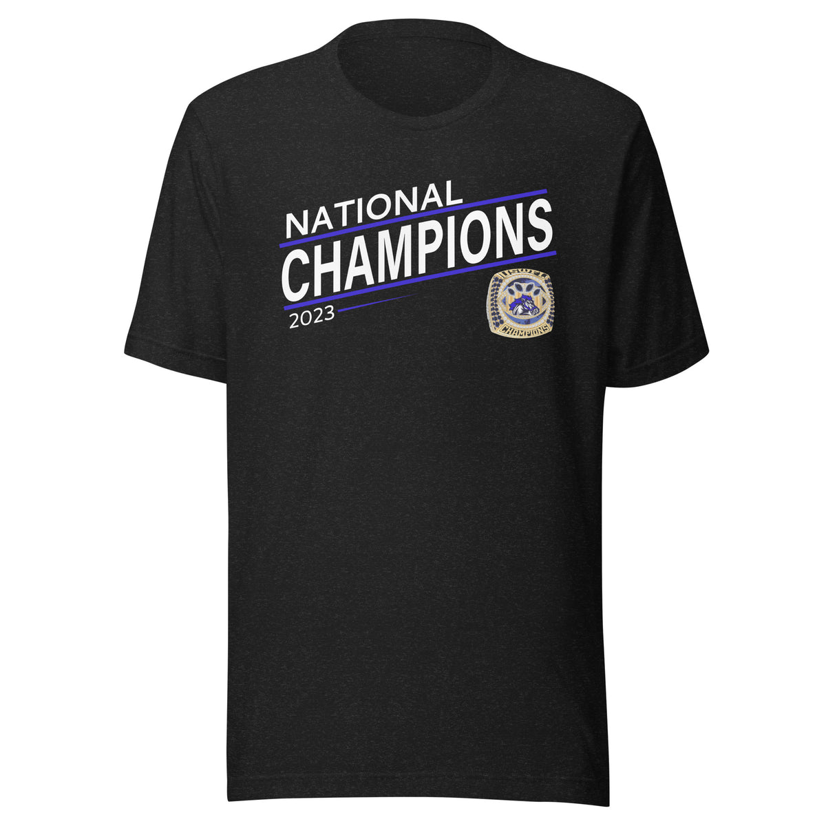 Tennessee Thunder Football 2023 Unisex t-shirt