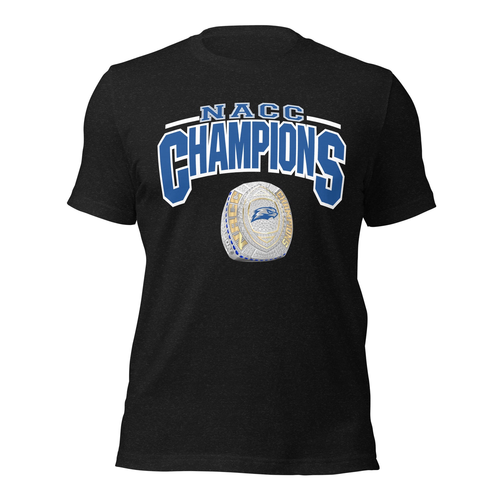 Concordia University Wisconsin Football 2025 Unisex t-shirt
