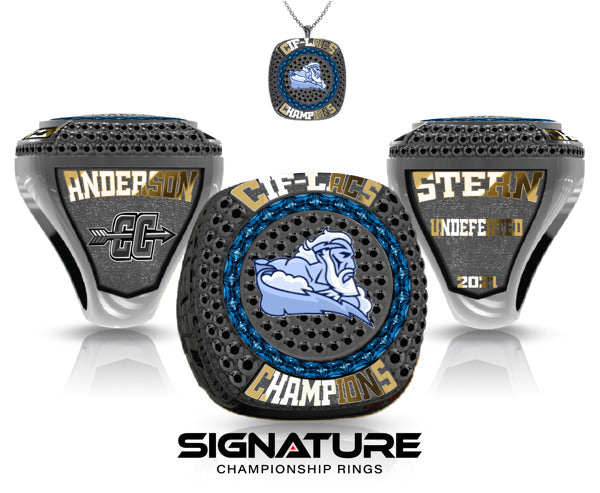 Alliance Marc & Eva Stern Math and Science School Championship Ring