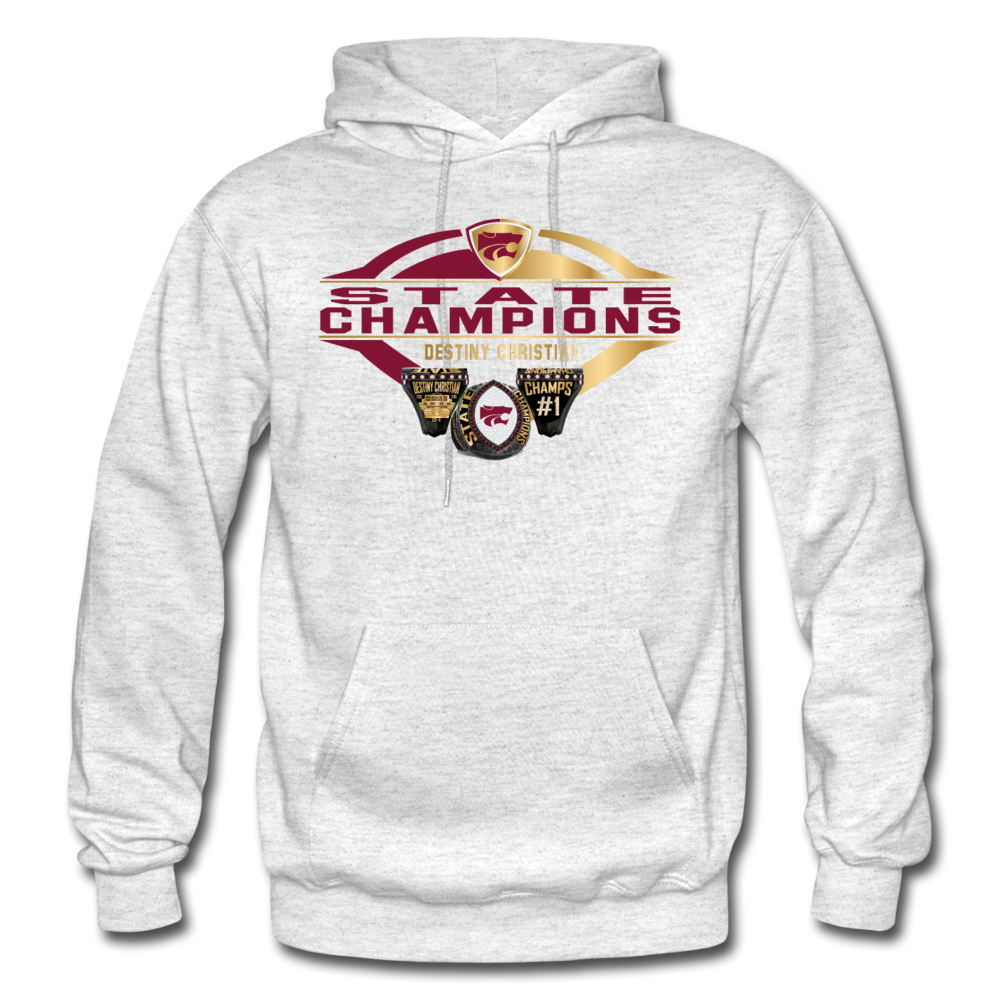 Destiny Christian Hoodie 2020 - light heather gray