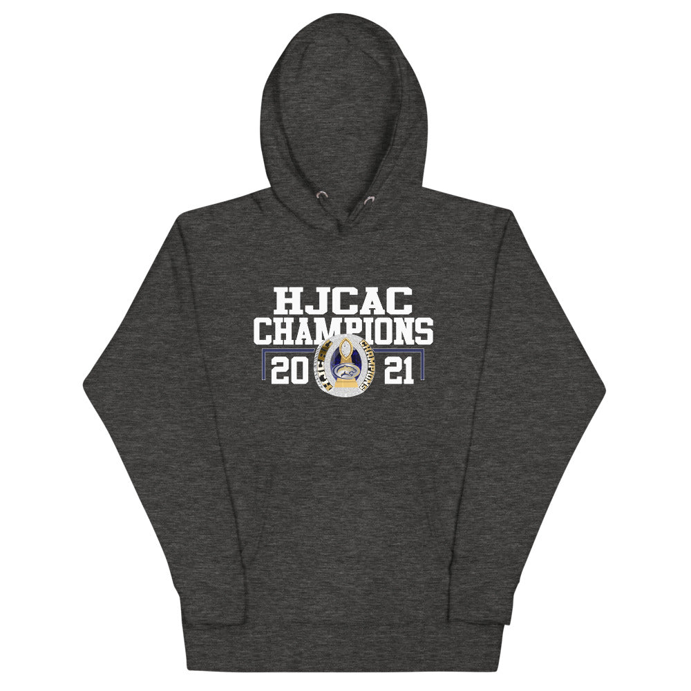 Papago Pumas Hoodie