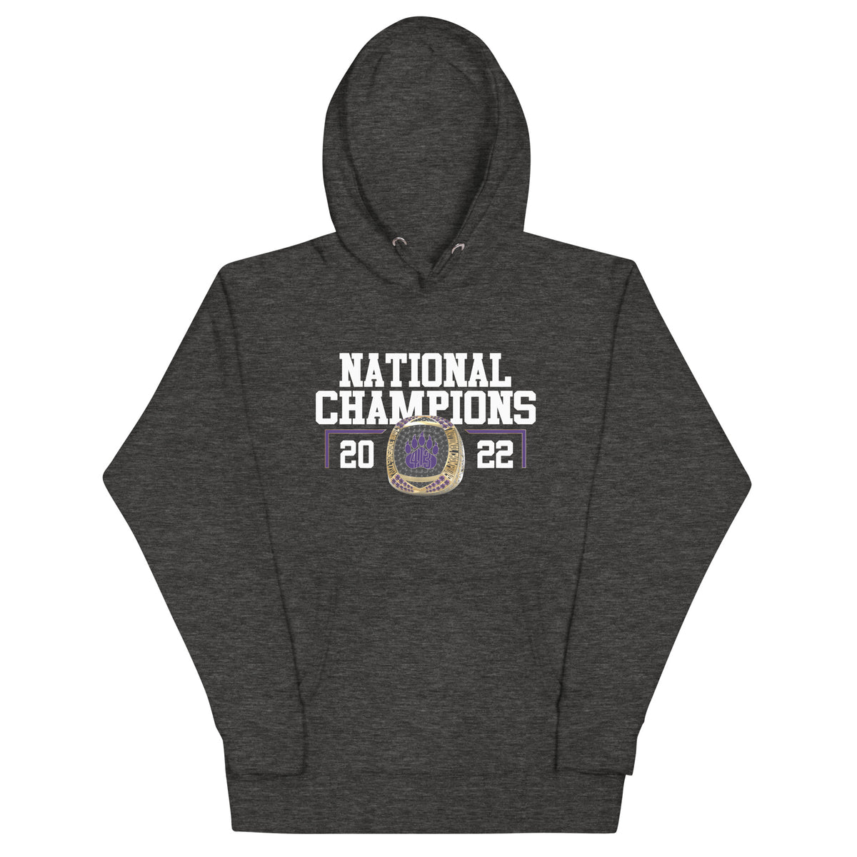 Western Mass Blitzen Bears National Champions Unisex Hoodie