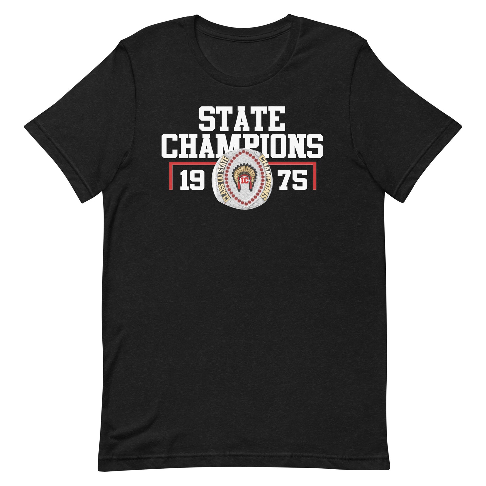 Irwin County Football State Champions Unisex t-shirt
