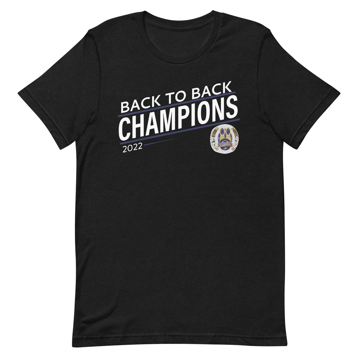Long Island Eagles Back-To-Back Champions Unisex t-shirt