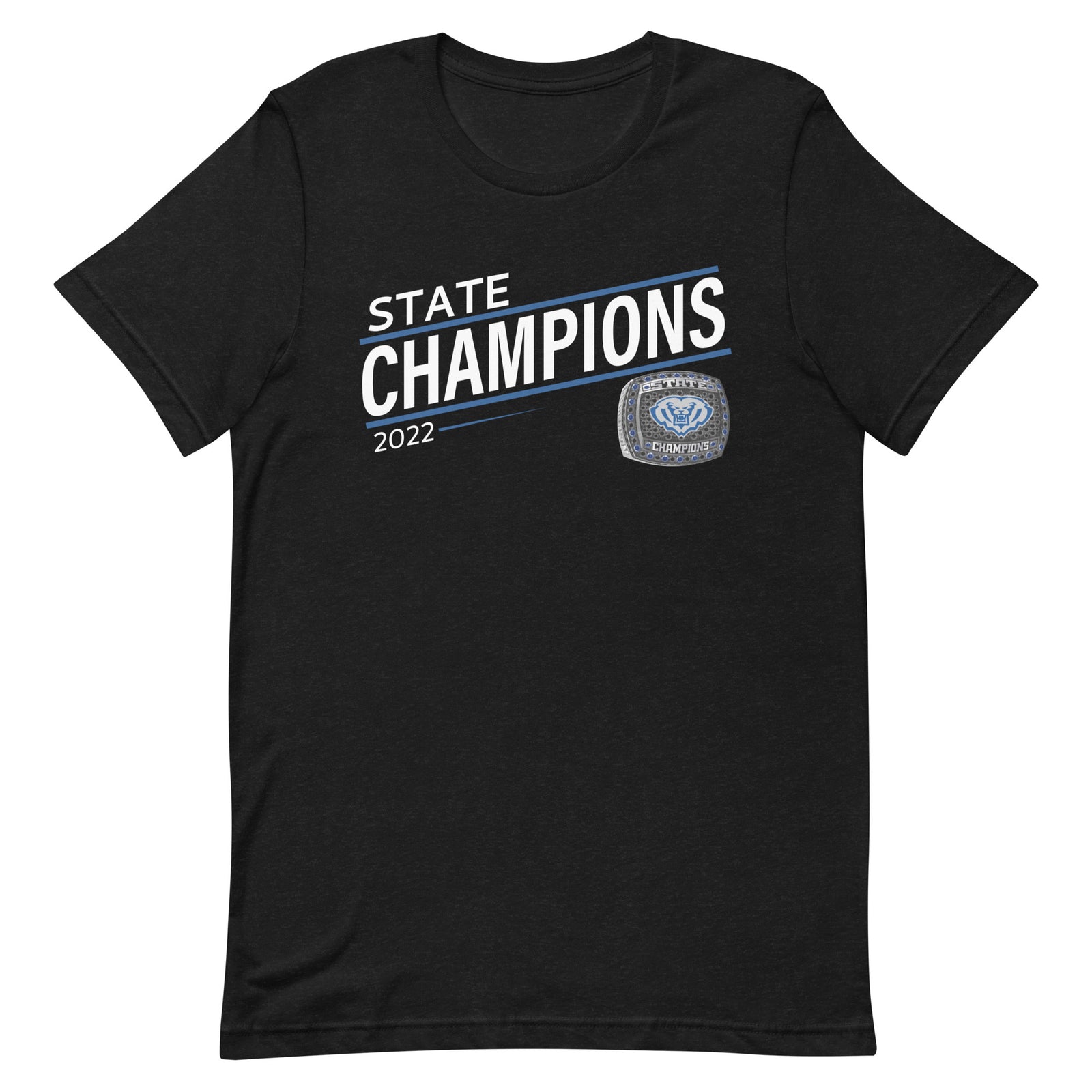 Hamilton Southeastern High School State Champions Unisex t-shirt