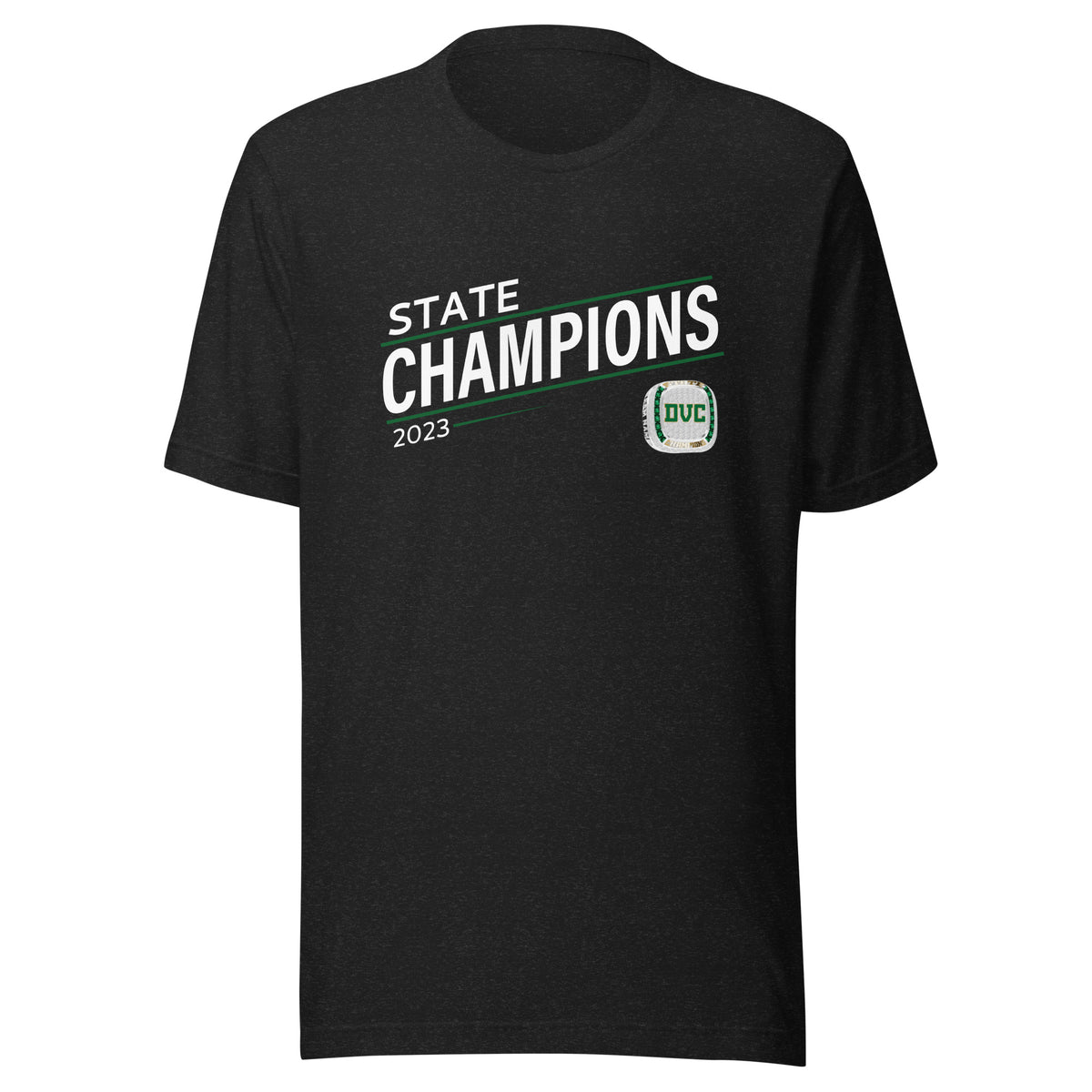 Dover High School Cheer 2023 Unisex t-shirt