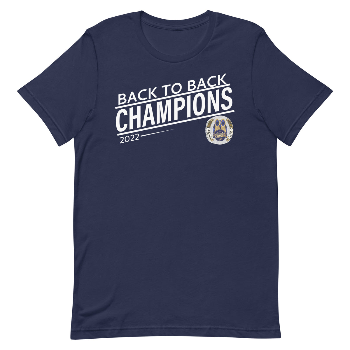 Long Island Eagles Back-To-Back Champions Unisex t-shirt